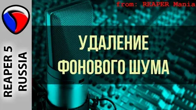 https://www.veed.io/ru-RU/%D0%B8%D0%BD%D1%81%D1%82%D1%80%D1%83%D0%BC%D0%B5%D0%BD%D1%82%D1%8B/%D1%83%D0%B4%D0%B0%D0%BB%D0%B5%D0%BD%D0%B8%D0%B5-%D1%84%D0%BE%D0%BD%D0%BE%D0%B2%D0%BE%D0%B3%D0%BE-%D1%88%D1%83%D0%BC%D0%B0-%D0%B8%D0%B7-%D0%B0%D1%83%D0%B4%D0%B8%D0%BE