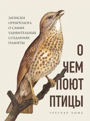 МОУ СОШ п.Новопавловка - Лэпбук для дошкольников «Удивительная птица»