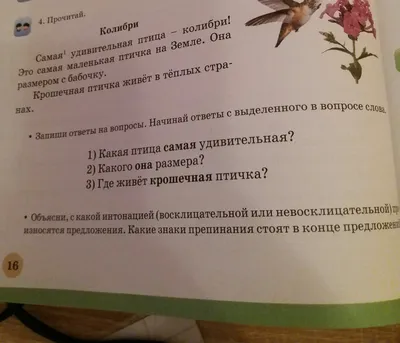 Удивительная птица в стрит-арт специально к юбилею Скейт-парка,  Великобритания