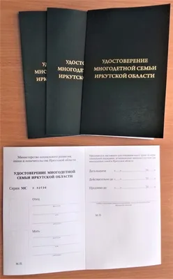 С 2023 года жители региона получают цифровые удостоверения многодетной семьи  | Портал Правительства Калининградской области