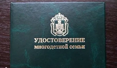 Удостоверение многодетной семьи теперь выдается каждому из родителей -  Телеканал \"Наш Регион 33\"