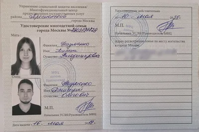 Удостоверение многодетной семьи - как получить, какие нужны документы | РБК  Украина