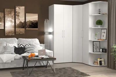 Угловой шкаф в маленькую квартиру – особенности конструкции -  Интернет-магазин \"Мебель для Всех\" в Хабаровске - Выгодные цены. Большой  ассортимент
