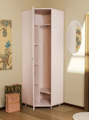 Встроенный угловой шкаф Авиценния по низкой цене в каталоге официального  интернет-магазина, купить с доставкой
