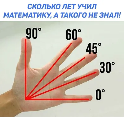 П-4-угол 30-40 | Соединительная пластина П-типа 4 отверстия под углом 30  градусов, серия 40 | Купить, цена