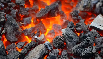 Купить уголь в Крыму, продажа каменного угля оптом и в розницу