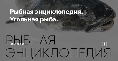 Угольная рыба (Черная треска) тушка без головы в индивидуальной упаковке.