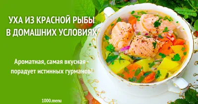 Суп из красной рыбы со сливками - рецепт автора Светлана