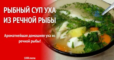 Рыбный суп уха из речной рыбы рецепт с фото пошагово - 1000.menu