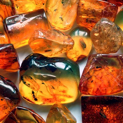 AmberWorld: купить украшения из янтаря в Минске
