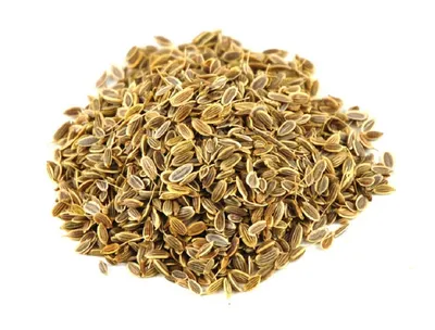 Укроп семена, 1 кг - купить с доставкой по выгодным ценам в  интернет-магазине OZON (233435127)