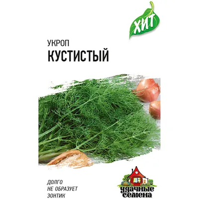 Укроп - Kozak - Anethum graveolens - Kozak - семена – Garden Seeds Market |  Бесплатная доставка