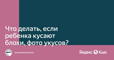 Аллергия на укусы блох у человека: что делать?