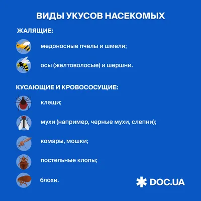 Как избавиться от мошек в квартире: быстро, народными и химическими  средствами