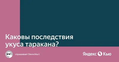 Домашние рыжие тараканы (прусаки): внешний вид, питание, размножение, где  искать, профилактика и многое другое