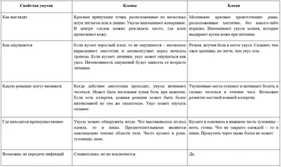 Что делать, если вас укусило насекомое | doc.ua