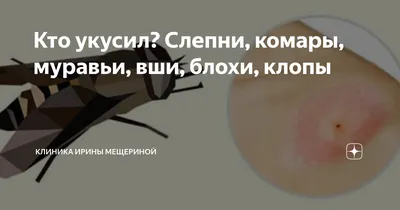 Опасные насекомые и их укусы — блог медицинского центра ОН Клиник