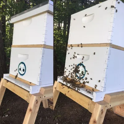 Ульи ППУ на 6 рамок от производителя в интернет-магазине для пчеловодов -  Eco-Polymer.ru - Производство изделий из полиуретана