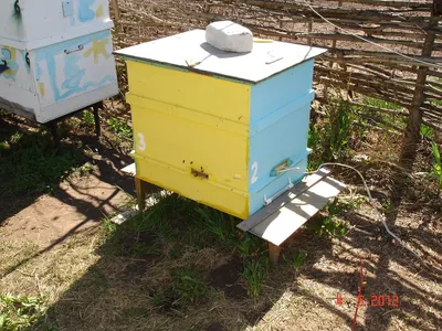 Как сделать смотровой улей для пчёл своими руками, часть 2 - Столярная  школа Rubankov