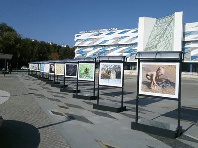 Уличные стенды, стенды для фотовыставки - ЭКСПОДРИМ