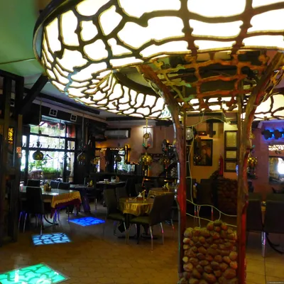 Кафе «Упитанный Енот» - уютное кафе и доставка блюд в Смоленске | Кафе «Упитанный  Енот»