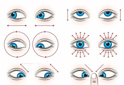 Эффективные упражнения для глаз и какие упражнения работают: Почему  гимнастика для глаз полезна?