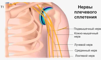 Бурсит локтевого отростка — причины и лечение в клинике «В надёжных руках»