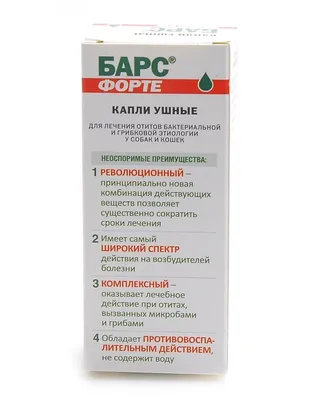 Как содержать кроликов в домашних условиях: как выбрать и ухаживать, чем  кормить