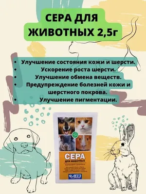 Ушной клещ у кошек: симптомы и лечение отодектоза | Блог зоомагазина  Zootovary.com