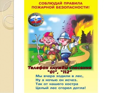 Урок по окружающему миру на тему \"На воде и в лесу\". 2-й класс