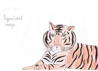 Уссурийский тигр с тигрицей в …» — создано в Шедевруме