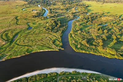 Устье реки Случь | Планета Беларусь
