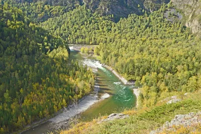 File:Русло реки.JPG - Wikimedia Commons