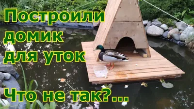 Курятник на 10 кур для дачи