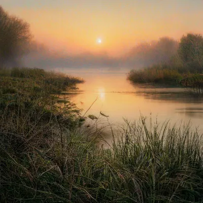 утренний рассвет в деревне стоковое изображение. изображение насчитывающей  природа - 221071625