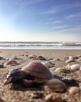 Santa Barbara beach - Доброе утро!🌊🌊🌊☀️ #одесса #море #пляж  #желтыйкамень | Facebook