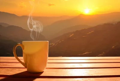 Скачать обои солнце, утро, рассвет, кофе, чашка разрешение 1920x1080 #130824