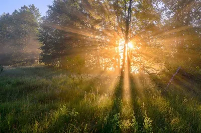 Солнечное утро. Рассвет над Миасской долиной. | Природа Южного Урала | Дзен