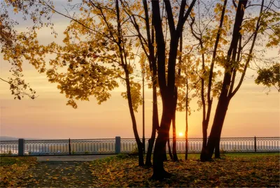 Утро, рассвет, осень, красиво, …» — создано в Шедевруме