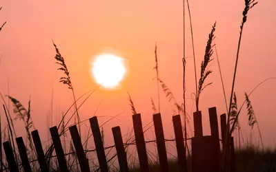 Восход Рассвет Утро - Бесплатное фото на Pixabay - Pixabay