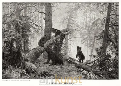 Картина «Утро в сосновом лесу» Ивана Шишкина: описание, история создания,  фото в хорошем качестве
