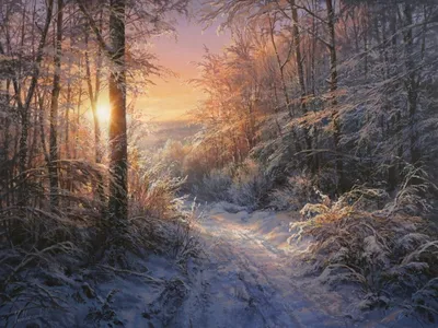 Зимний лес фон (67 фото) - 67 фото