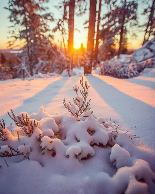Доброе утро зимние картинки (71 лучших фото)