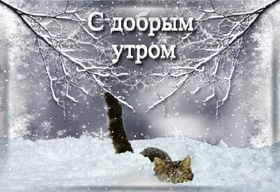 Мои стихи _ Утро, зима ... Галинка Багрецова | Лира Vision - Галинка  Багрецова | Дзен