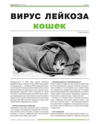 https://journal.tinkoff.ru/feline-infectious-peritonitis/