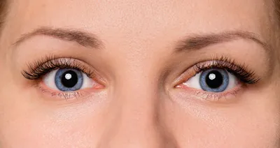 Основное увеличение глаз человека в стакане утилиту Иллюстрация штока -  иллюстрации насчитывающей человек, запросчик: 200068490