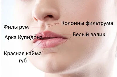 Как снять отек после увеличения губ гиалуроновой кислотой - блог Cleo Line