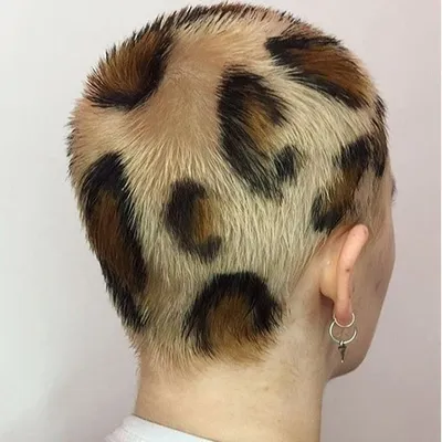 Самые нестандартные прически: топ идей окрашивания волос на PEOPLETALK