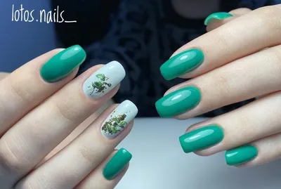 Today nail, студия маникюра, Никольский проспект, 14, рп. Кольцово — 2ГИС