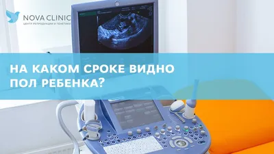 Кто может определить пол ребёнка по фото УЗИ?» — Яндекс Кью